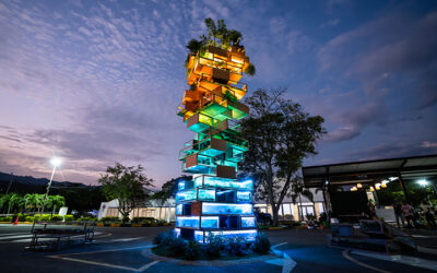 SeaTrees’ Biodiversity Blocks: A Groundbreaking Model for Ocean Conservation